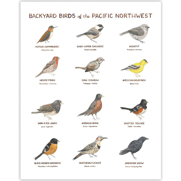 Backyard Birds of the Pacific Northwest Art Print - DIGS