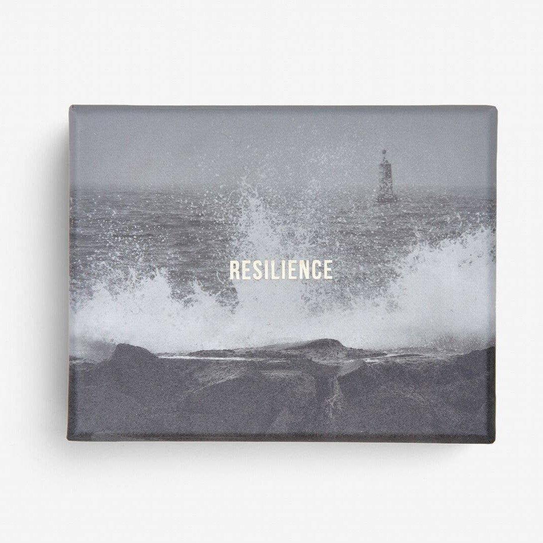 Resilience Card Set - DIGS