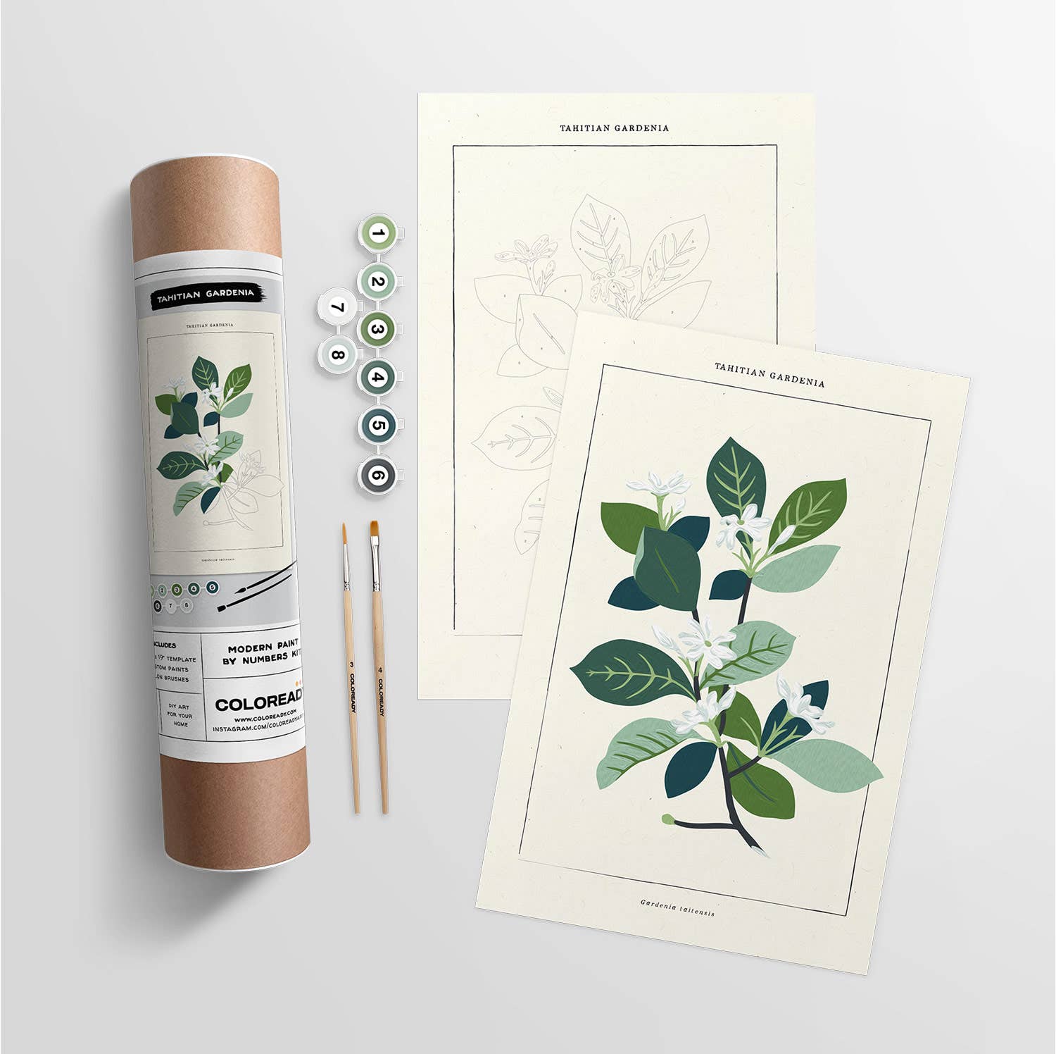 Modern Paint By Numbers Kit: Tahitian Botanical