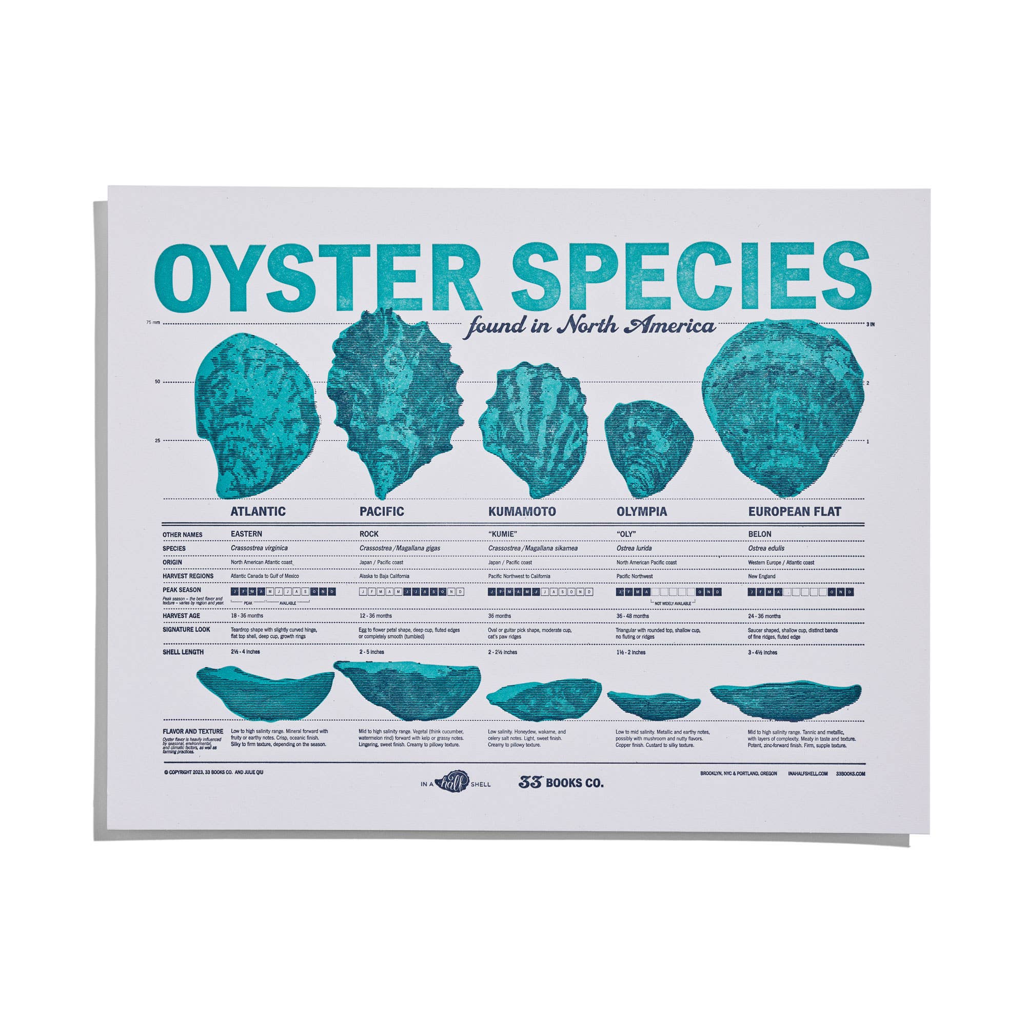 Oysters of North America Letterpress Print