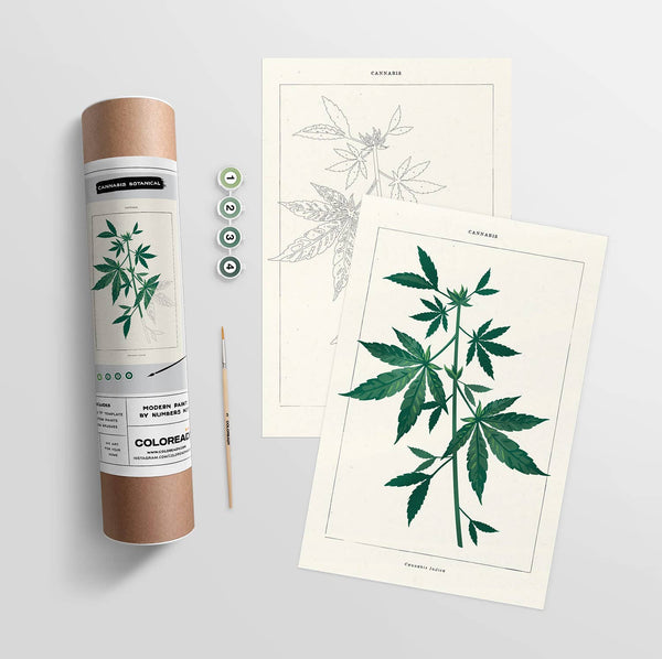 Modern Paint by Numbers Kit: Cannabis Botanical