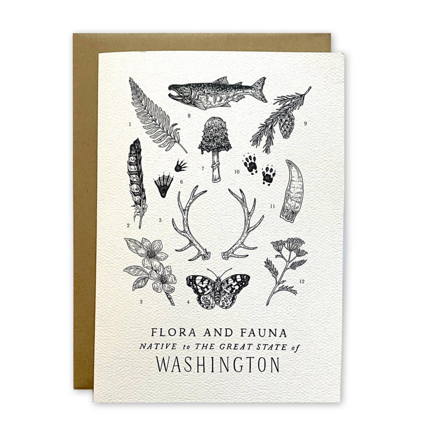 Washington Field Guide Greeting Card - DIGS