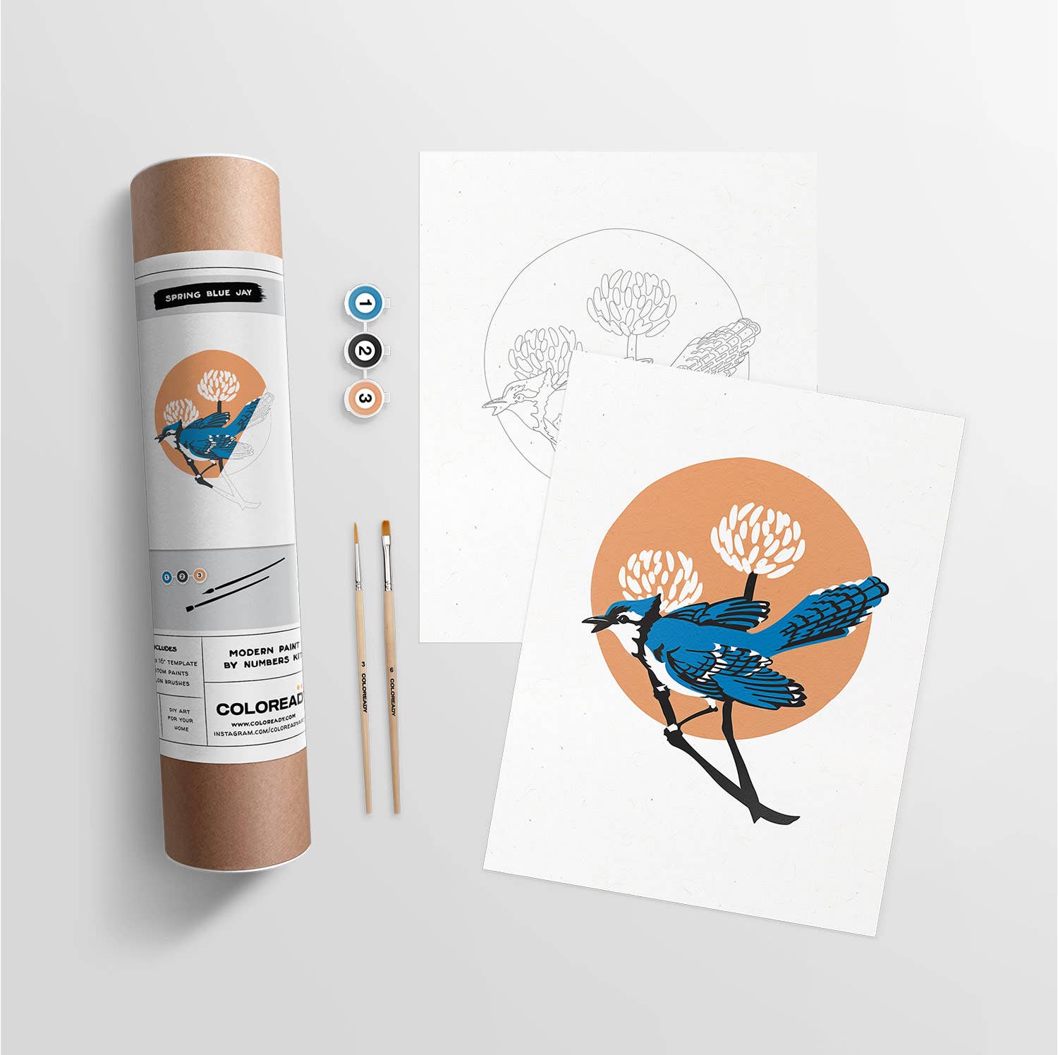 Modern Paint by Numbers Kit: Spring Blue Jay