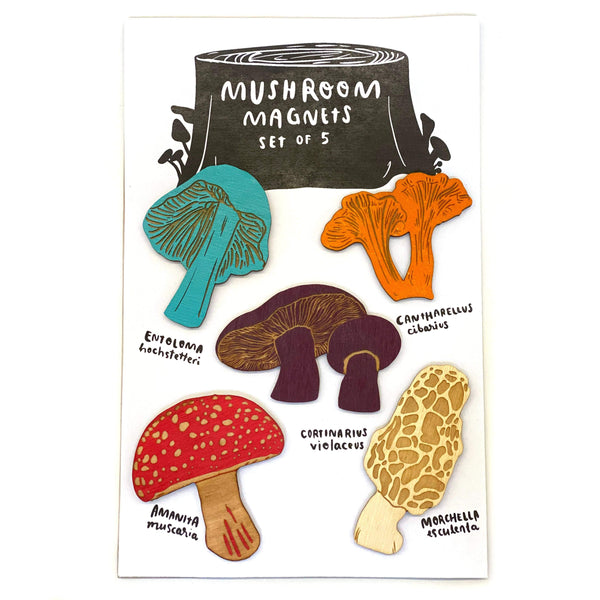 Mushroom Magnets Set of 5