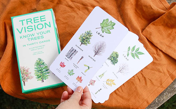Tree Vision: Know Your Trees in Thirty Cards
