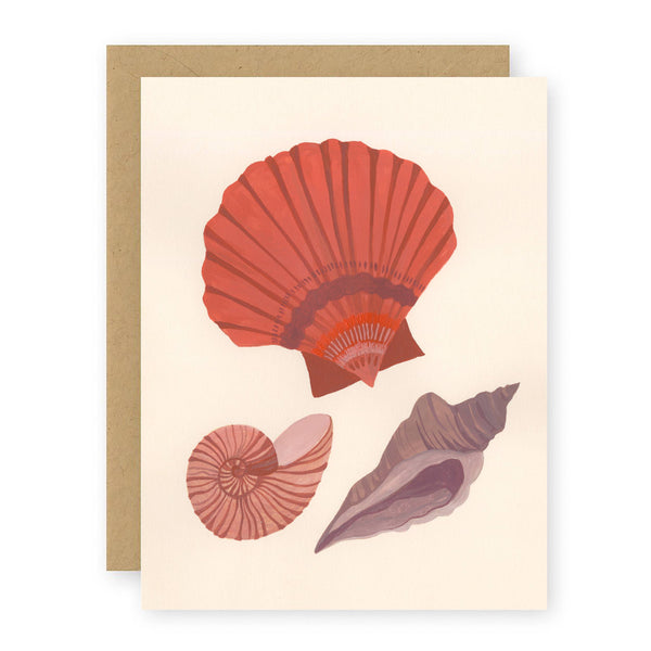 Seashells Notecard
