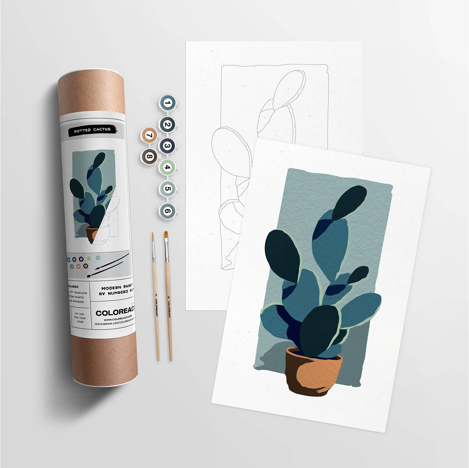 Modern Paint by Numbers Kit: Potted Cactus