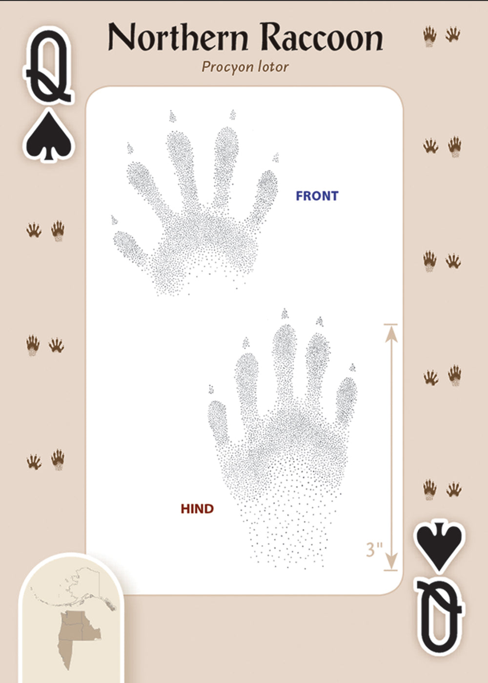 Animal Tracks of Northwest Playing Cards