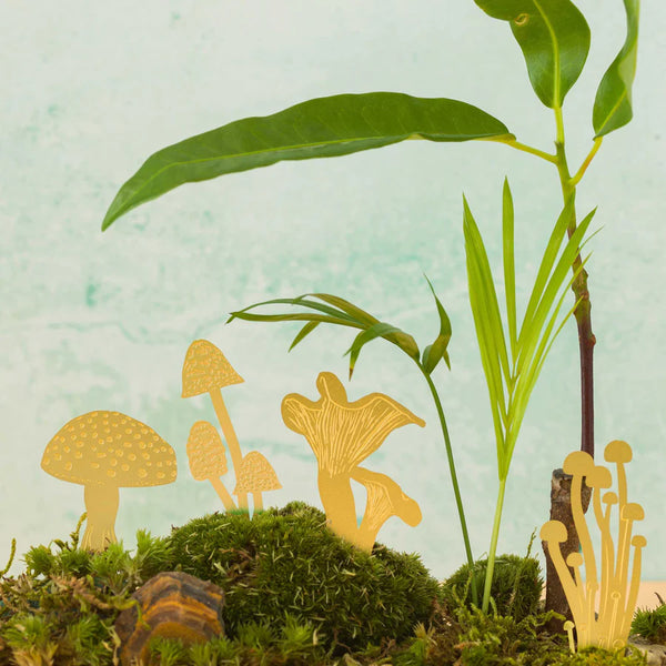 Mini Mushrooms Terrarium Decor: Brass