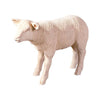 a Life-size sheep lamb sculpture