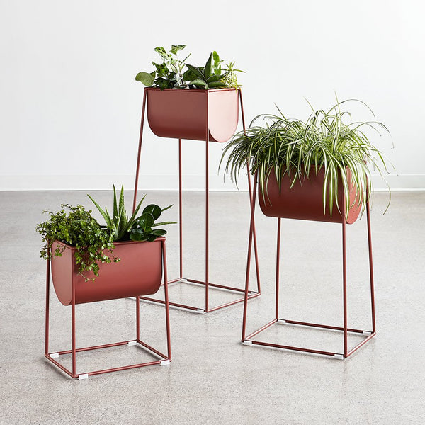 Gus Modern Modello Planter Set with plants - Clay