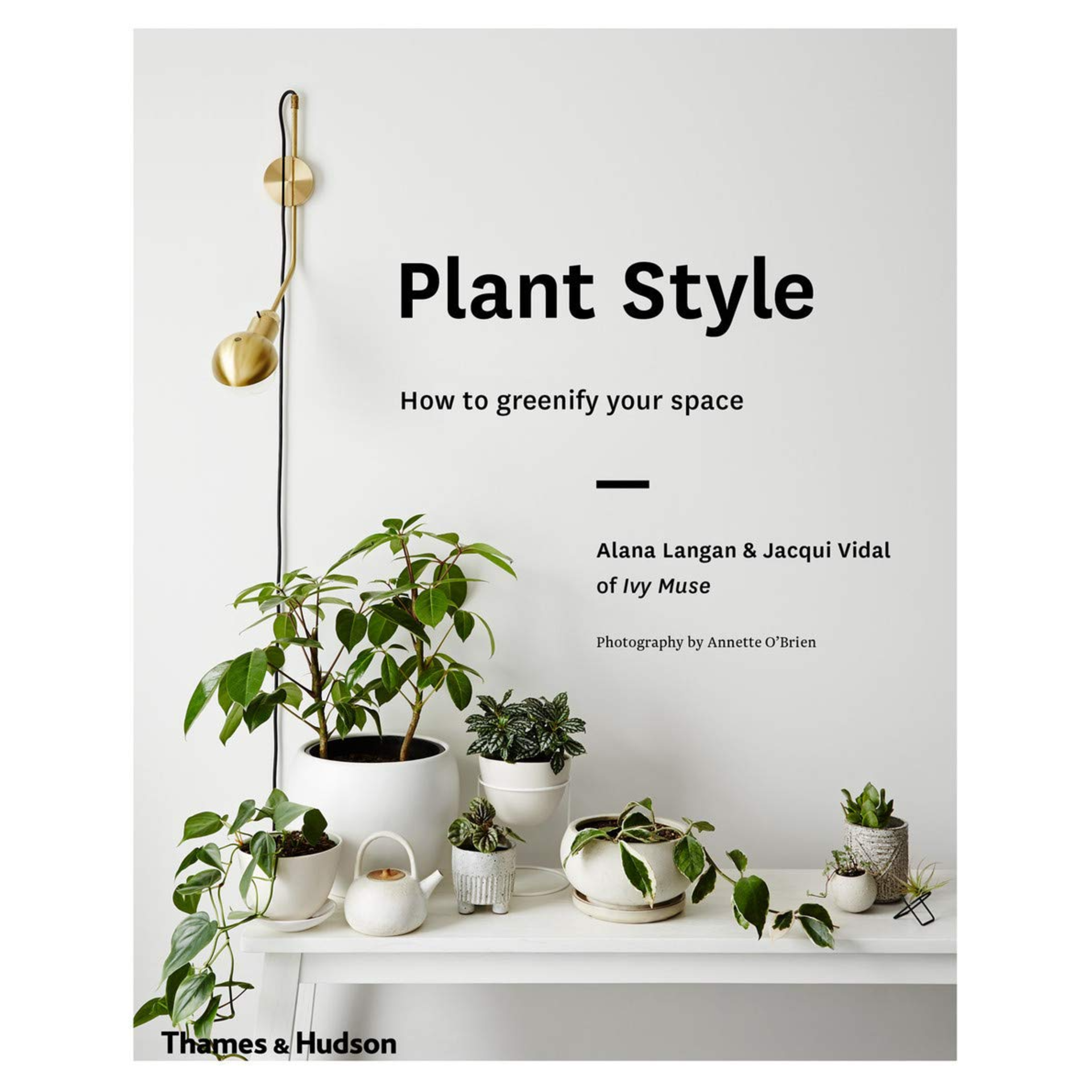 Plant Style: How To Greenify Your Space - DIGS