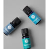 Tranquil Essential Oil Collection