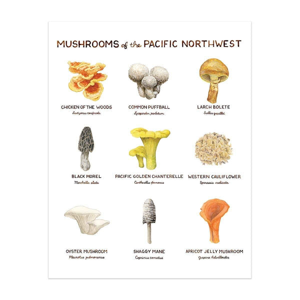 Mushrooms of the Pacific Northwest Art Print - DIGS