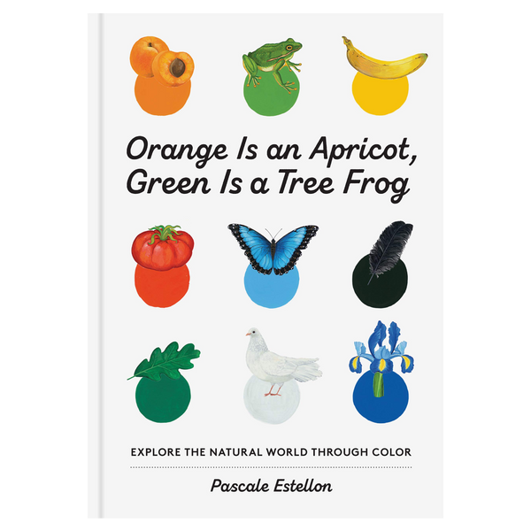 Orange Is an Apricot, Green Is a Tree Frog - DIGS