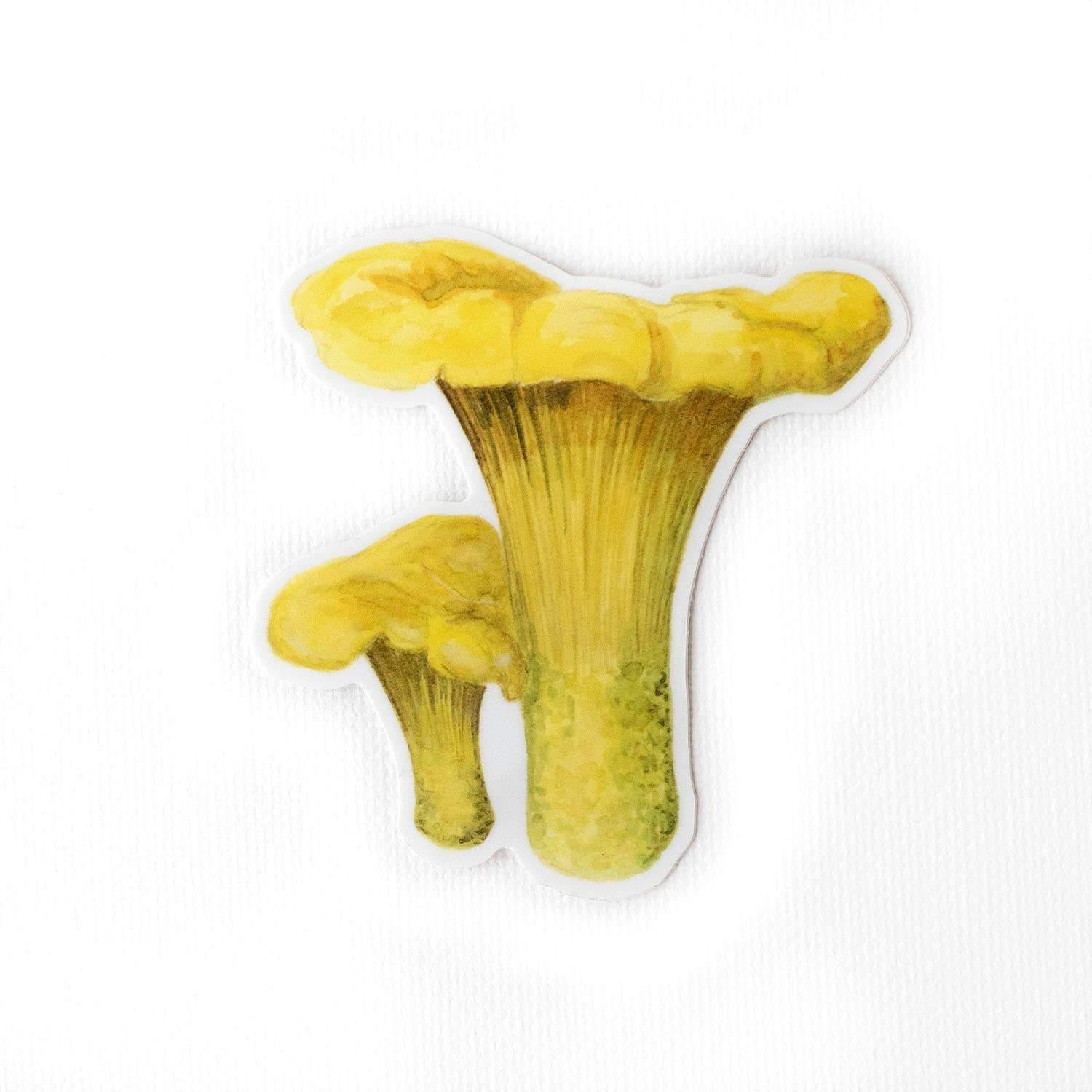 Chanterelle Mushroom Sticker - DIGS