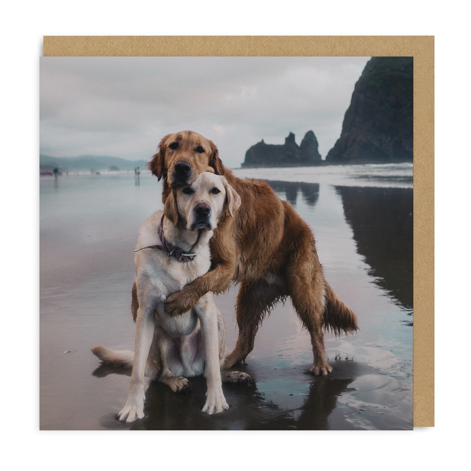Beach Dogs Hug Card