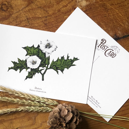 Witches Weeds Postcard Set