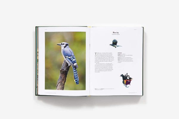 The Backyard Birdwatcher's Bible - DIGS