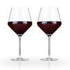 Burgundy Glasses Set/2