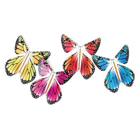Magic Flying Rainbow Butterfly - DIGS