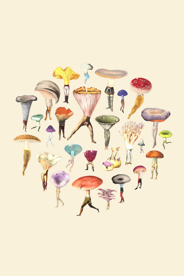 Fungi Collection Note Card Set