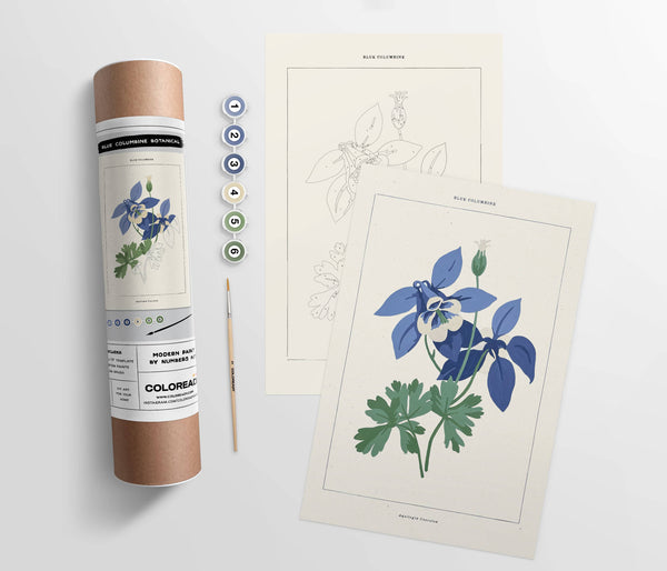 Modern Paint By Numbers Kit: Blue Columbine Botanical