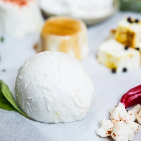 DIY Cheese Kit: Mozzarella, Ricotta, & Farmers' Cheese