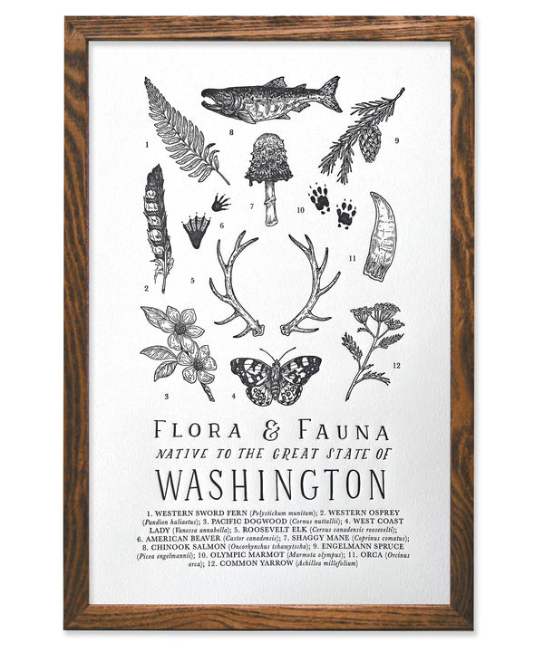 Washington Field Guide Print - DIGS