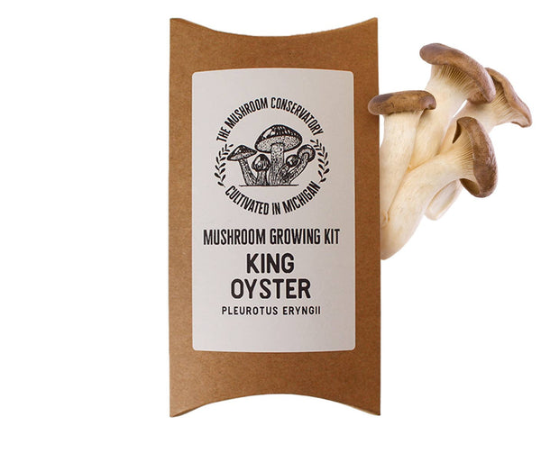 King Oyster Gourmet Mushroom Growing Kit