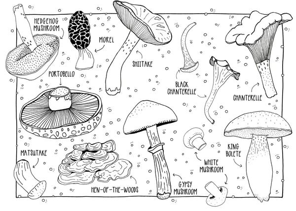 Mushrooms Coloring Postcards