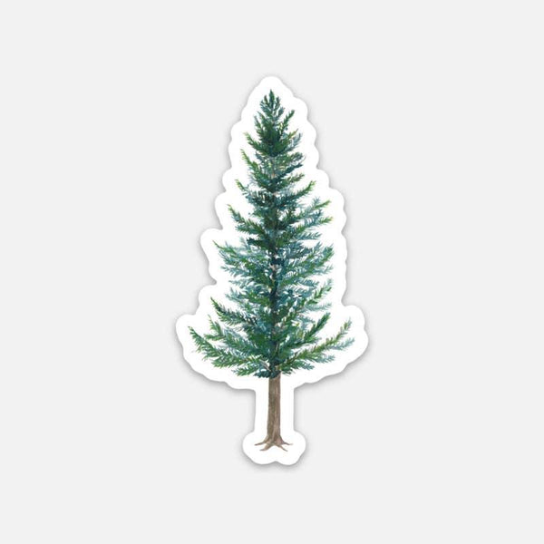 Douglas Fir Evergreen Tree Sticker - DIGS