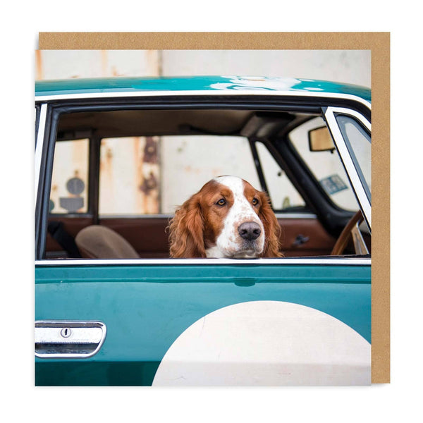 Dog In Car Card