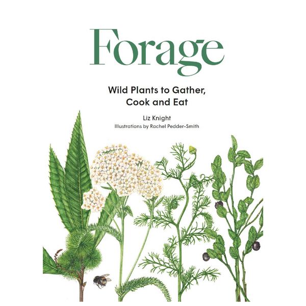 Forage: Wild Plants to Gather, Cook and Eat - DIGS