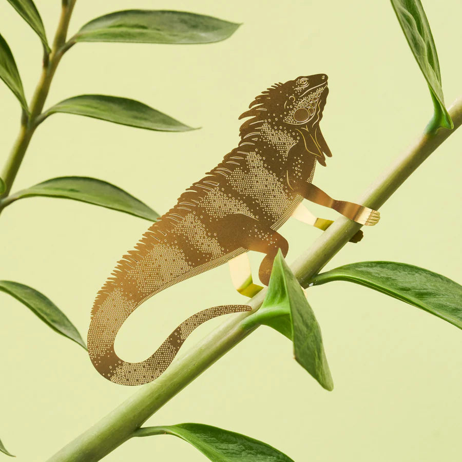Plant Animal: Large Iguana