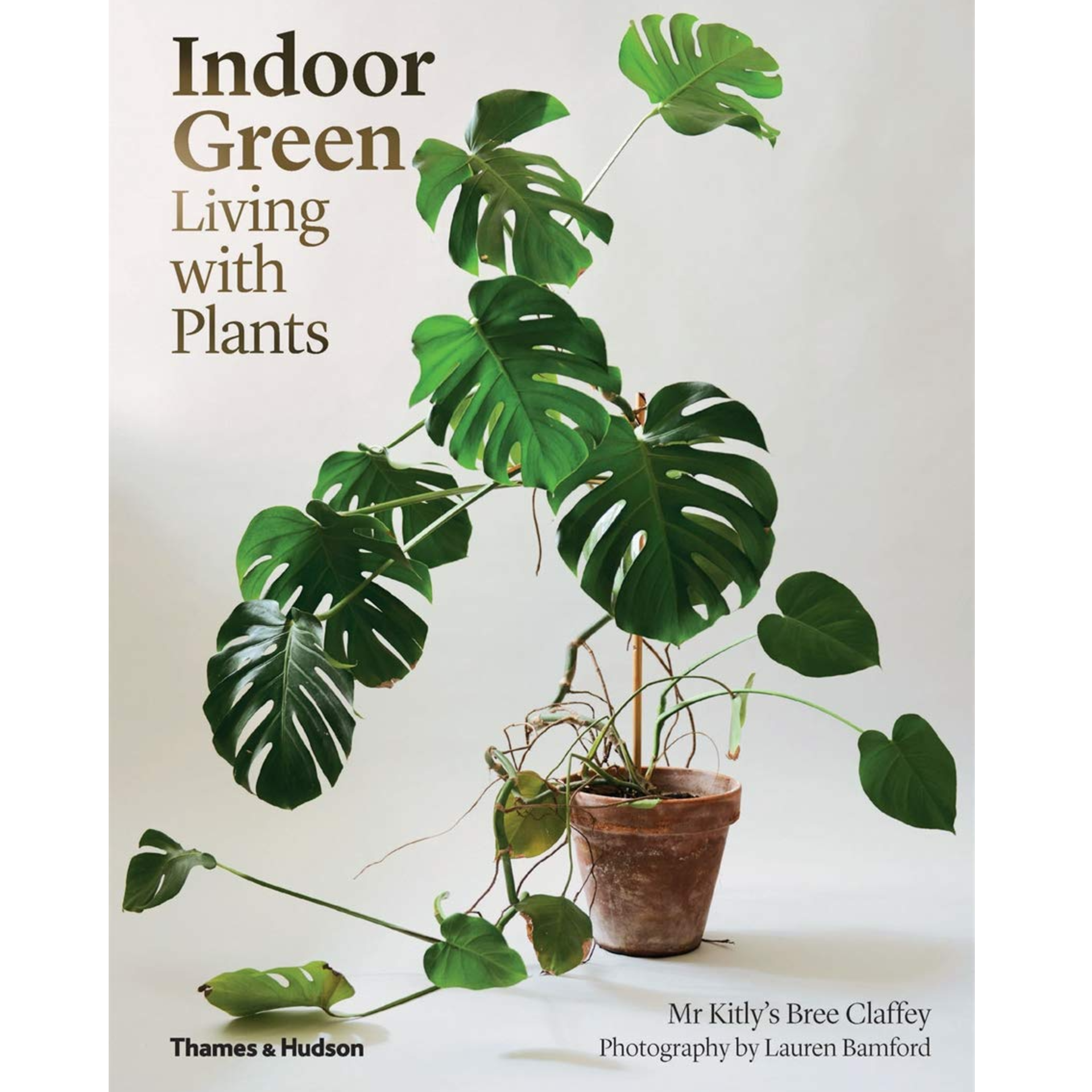Indoor Green: Living With Plants - DIGS