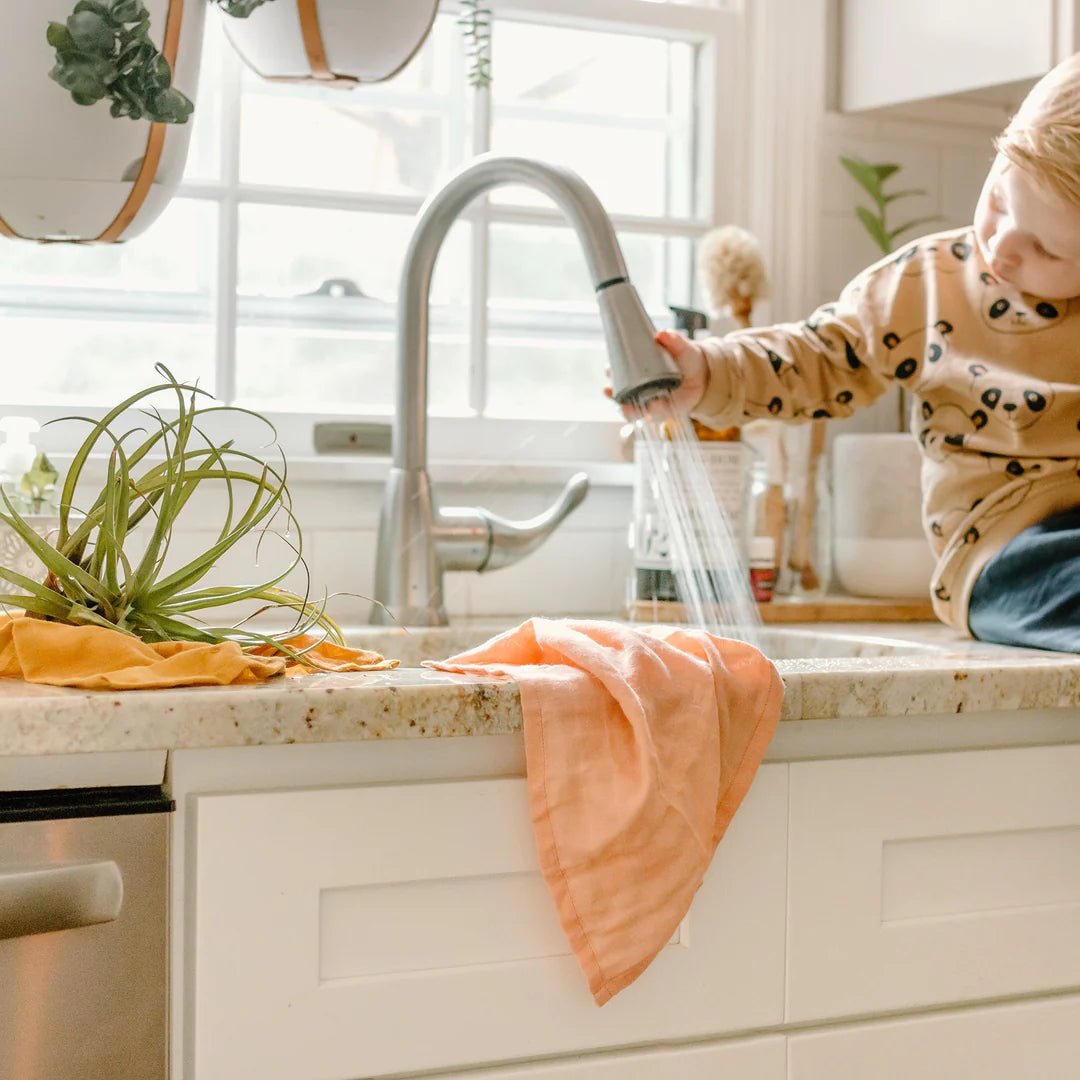 Kind Plant - Dyed Dish Towels - DIGS
