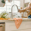 Kind Plant - Dyed Dish Towels - DIGS