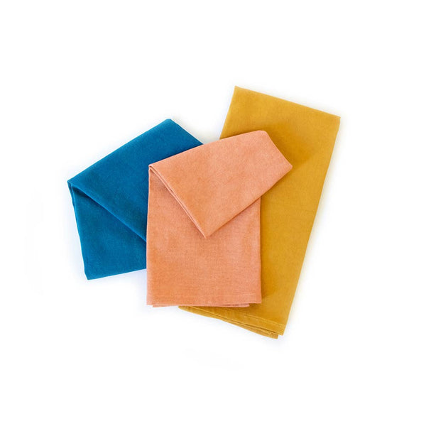 Kind Plant - Dyed Dish Towels - DIGS