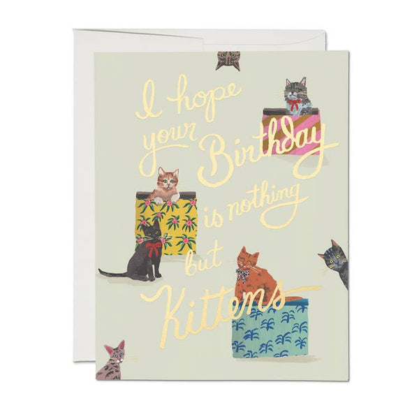 Nothing But Kittens Card