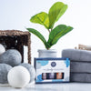 Laundry Essential Oil Collection - DIGS