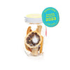 Lemon Drop Infusion Kit - DIGS