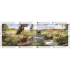 Life Through Time: The 700 - Million - Year Story of Life On Earth - DIGS