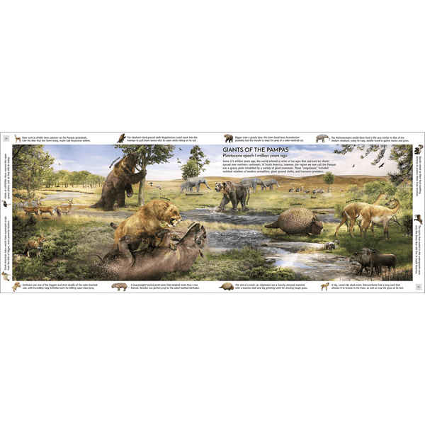 Life Through Time: The 700 - Million - Year Story of Life On Earth - DIGS