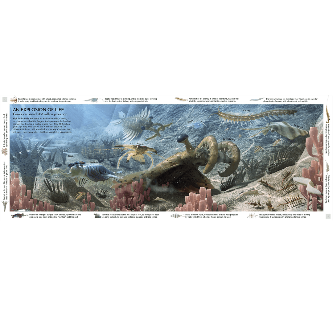 Life Through Time: The 700 - Million - Year Story of Life On Earth - DIGS