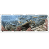 Life Through Time: The 700 - Million - Year Story of Life On Earth - DIGS