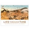 Life Through Time: The 700 - Million - Year Story of Life On Earth - DIGS