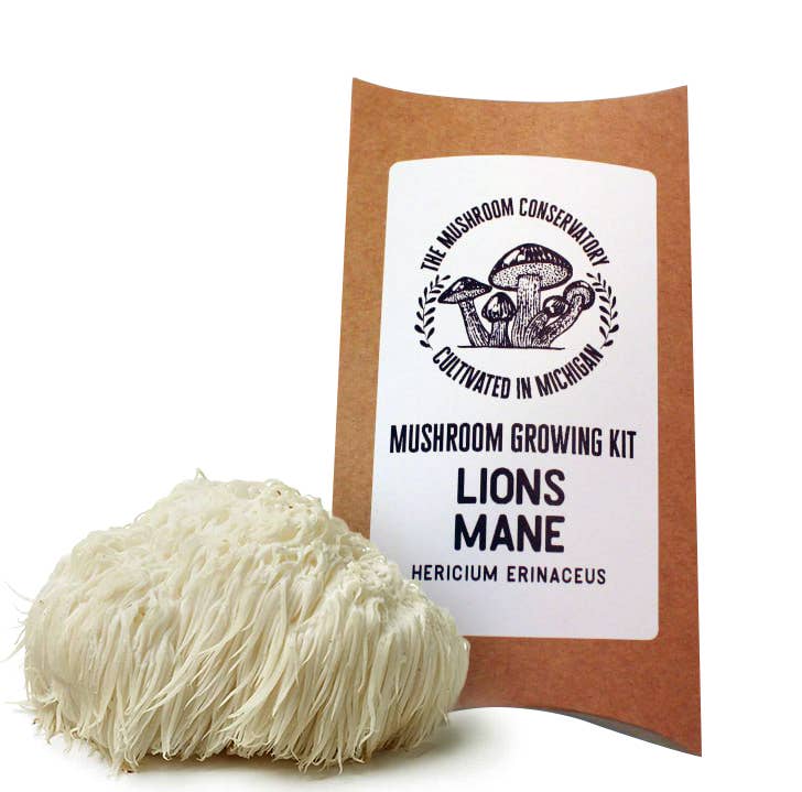 Lions' Mane Mushroom Growing Kit - DIGS
