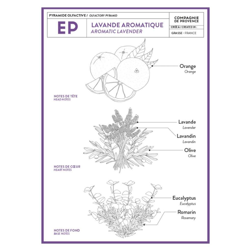 Liquid Marseille Soap: Aromatic Lavender - DIGS
