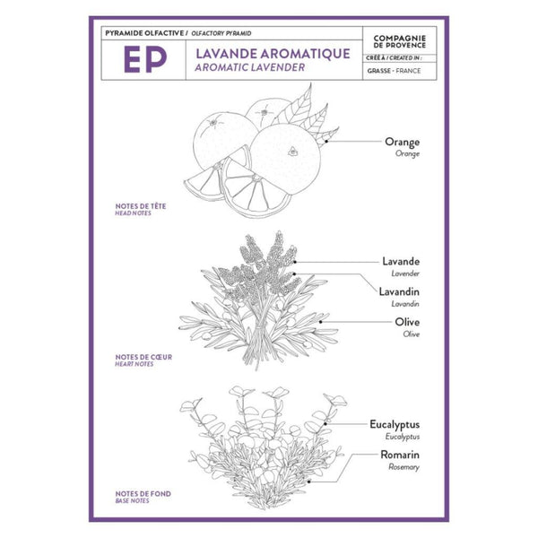 Liquid Marseille Soap: Aromatic Lavender - DIGS
